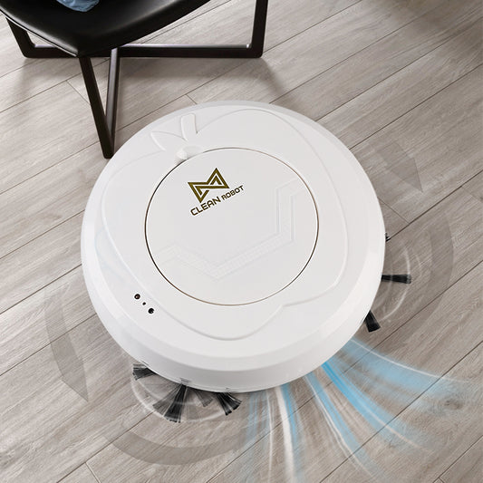 Clean Robot Home